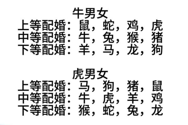 1996年属什么生肖配对最好_1996年属鼠的最佳婚配