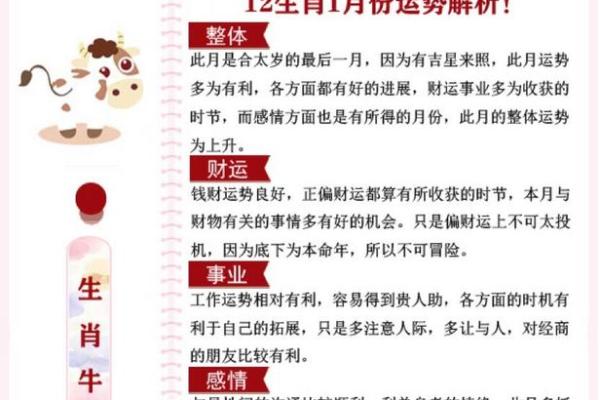 2021年属什么生肖的宝宝生肖运势解析