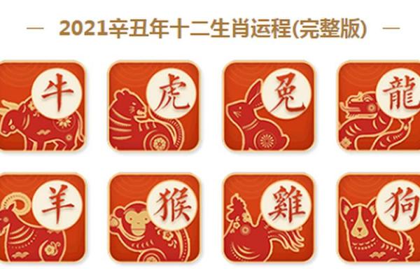 2021年属什么生肖的宝宝生肖运势解析