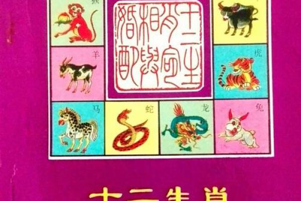 97岁属什么生肖揭秘高龄老人的生肖秘密