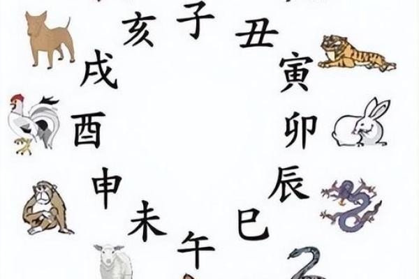 9楼适合什么属相的住_9楼适合什么属相的住风水含义