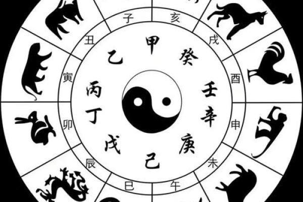 调虎离山指什么生肖揭秘十二生肖中的智慧策略