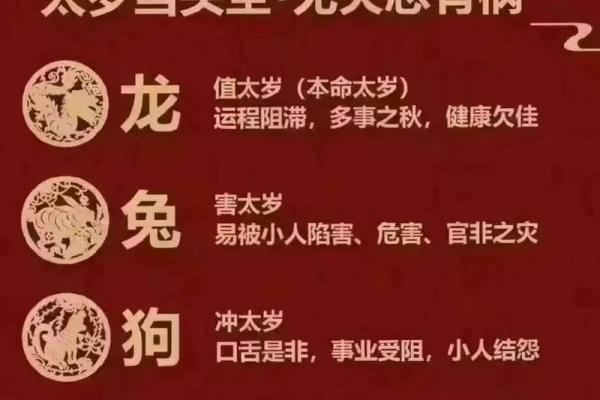 2023年什么属相犯太岁_2023年哪些属相犯太岁完整解析与化解方法