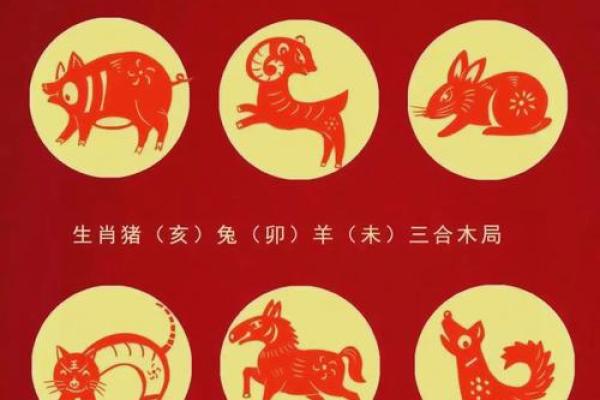 82年属相什么生肖_1982年属什么生肖揭秘82年出生人的生肖属相