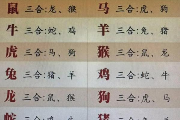 29岁最佳婚配属相揭秘属相配对指南