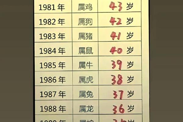 今年22岁属啥_今年22岁属啥的2023