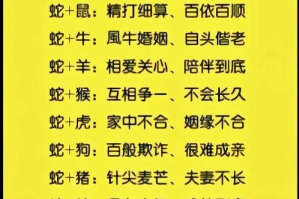 1994年属什么生肖配对最好 1994年狗配什么属相婚姻好