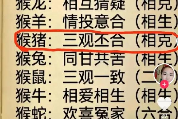 1992属猴的属相婚配表 1992年属猴的属相婚配