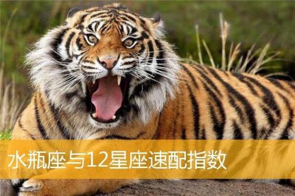 属虎的克星第一名 属虎的最克谁