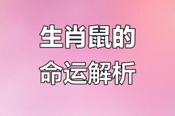 2026年六十岁本命年鼠人运势如何？需要注意哪些方面？