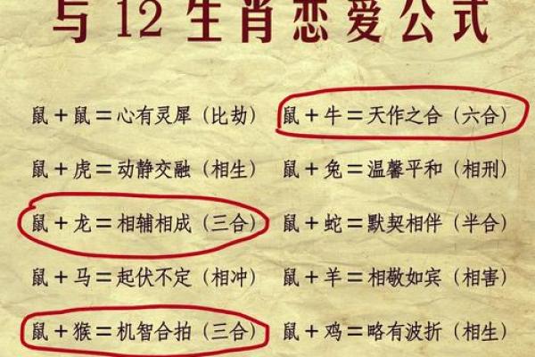 2026年属鼠人的全年运势详解，事业财运健康感情全面解析