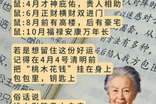 1984年出生的属鼠人在2024龙年事业财运健康运势如何