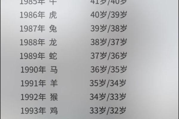 1984年出生的鼠2026年事业财运和健康运势如何破解太岁