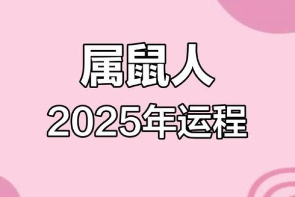 2026年1984年出生属鼠人事业财运健康感情全方位运势解析 2026年1984年出生属鼠人事业财运健康感情全方位运势解析