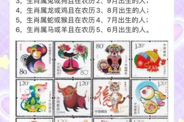 2008年出生生肖属猪还是属鼠？如何正确划分年份界限