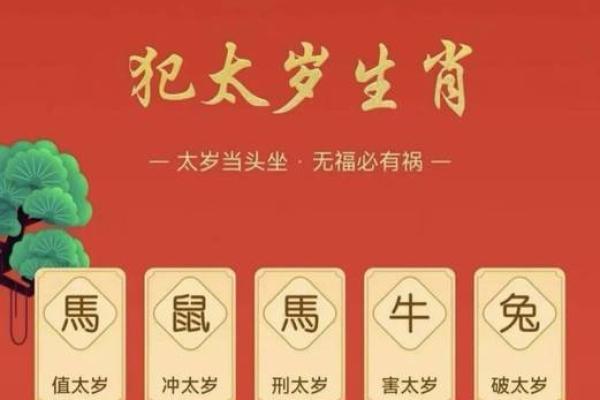 1996年丙子鼠2026年全年财运、事业和感情运势解析