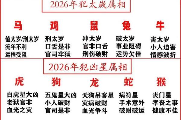 2026年1984年出生的生肖鼠全年运程如何？有何注意事项与开运方法