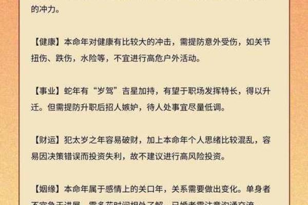 属鼠的人在2026蛇年整体运势详解与注意事项