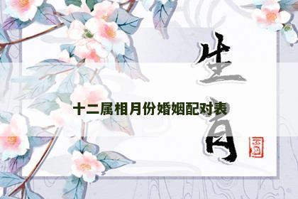 十二属相月份婚姻配对表