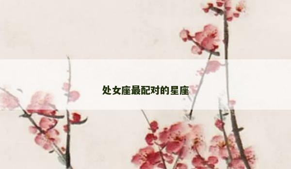 处女座最配对的星座