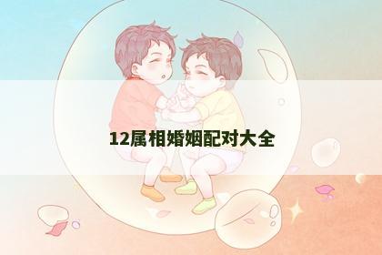 12属相婚姻配对大全