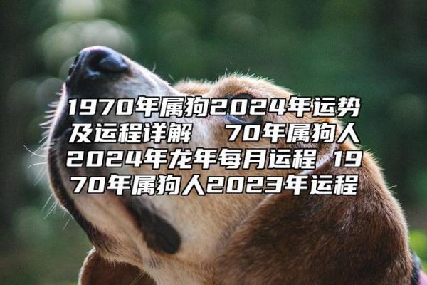 1982年属狗2026年运势及运程_1982年属狗在2026年全年运程