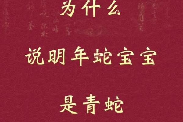蛇年是哪家年_蛇年是哪一