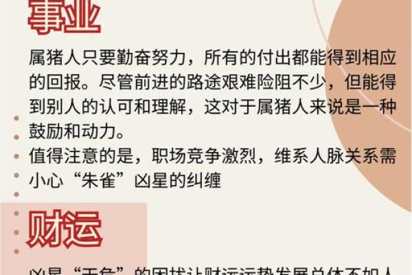 95属猪的正缘在哪一年