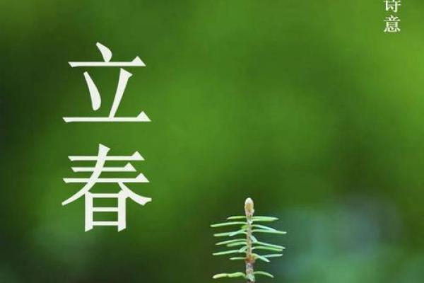 2016年立春是几月几号2月4日